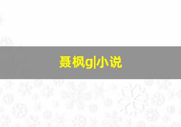 聂枫g|小说